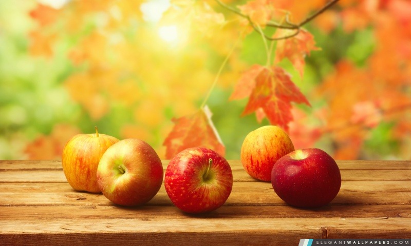 Pommes d'automne, Arrière-plans HD à télécharger