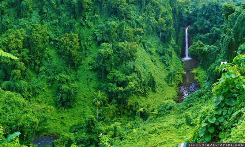 Jungle Waterfall, Arrière-plans HD à télécharger