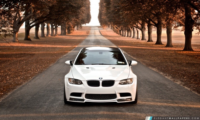 BMW M3 automne, Arrière-plans HD à télécharger