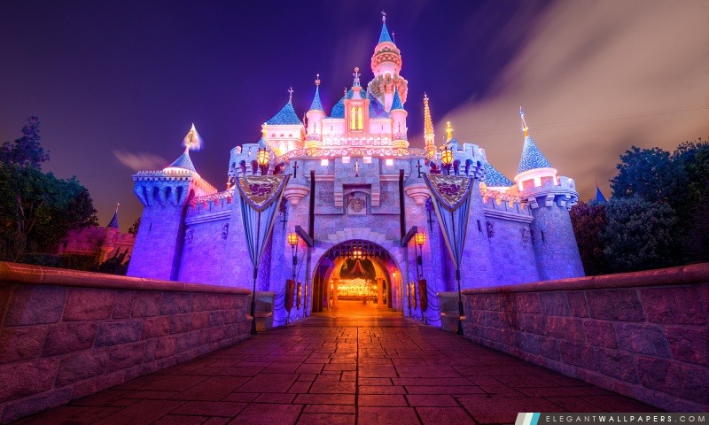 Sleeping Beauty Castle Disneyland Fond D Ecran Hd A Telecharger Elegant Wallpapers
