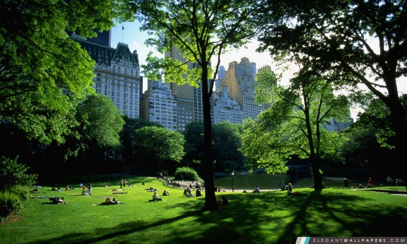 Central Park, Arrière-plans HD à télécharger