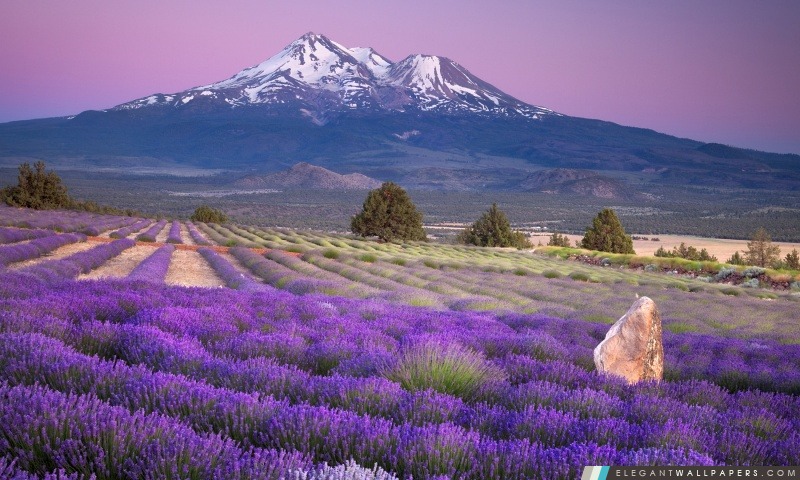 Mount Shasta, Californie, Arrière-plans HD à télécharger