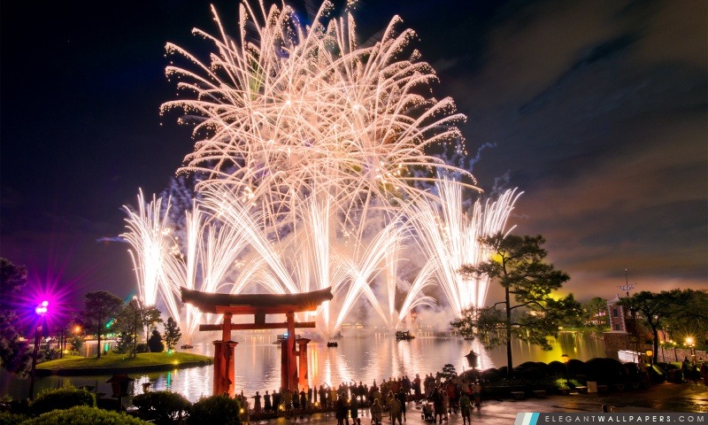 Walt Disney World Fireworks, Arrière-plans HD à télécharger