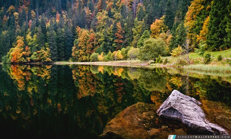 Incroyable automne Lake View, Arrière-plans HD à télécharger