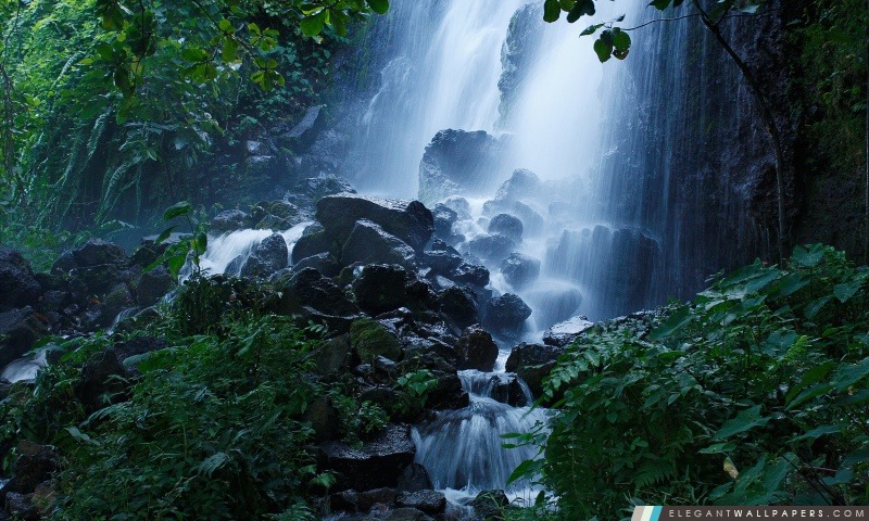 Belle cascade Forêt, Été, Arrière-plans HD à télécharger