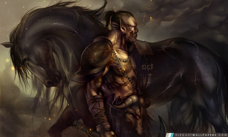 Fantasy Warrior, Arrière-plans HD à télécharger