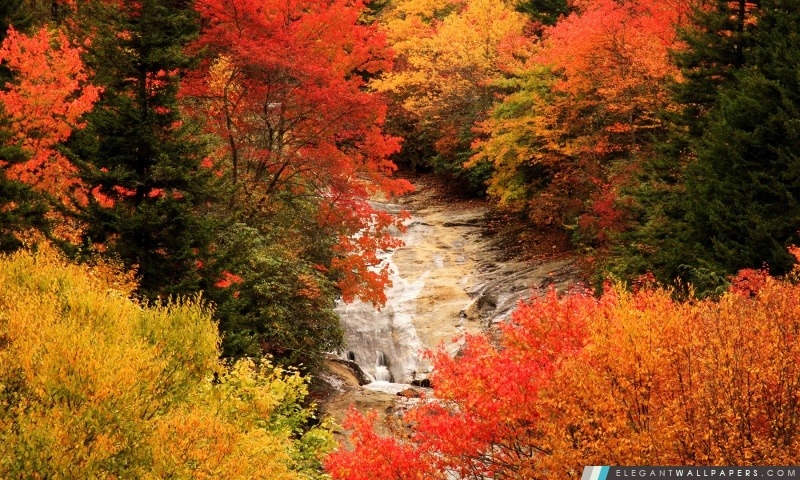 Blue Ridge Parkway, Caroline du Nord, l'automne, Arrière-plans HD à télécharger