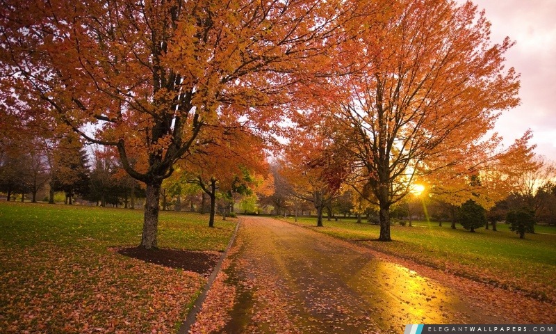 Autumn Sunset, Happy Valley, Oregon, Arrière-plans HD à télécharger
