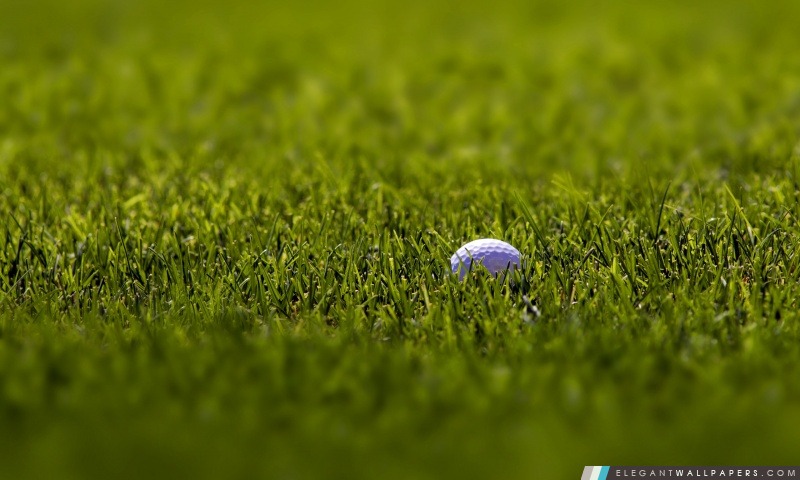 Balle de golf Macro, Arrière-plans HD à télécharger
