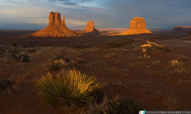 Matin Dans désert de l'Utah, Arrière-plans HD à télécharger