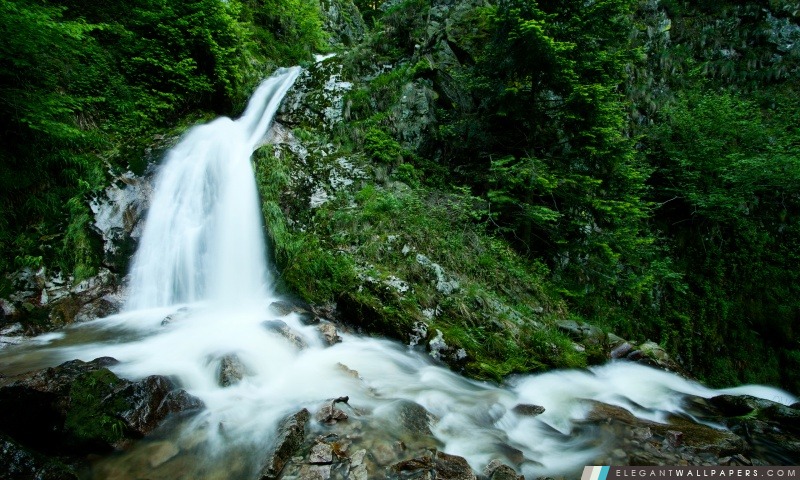 Forest Waterfall, Arrière-plans HD à télécharger