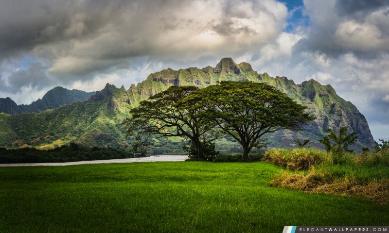 Les falaises perdus de Oahu, Arrière-plans HD à télécharger