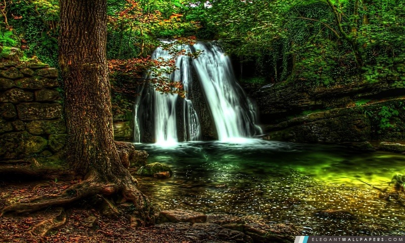 Forest Waterfall, Arrière-plans HD à télécharger