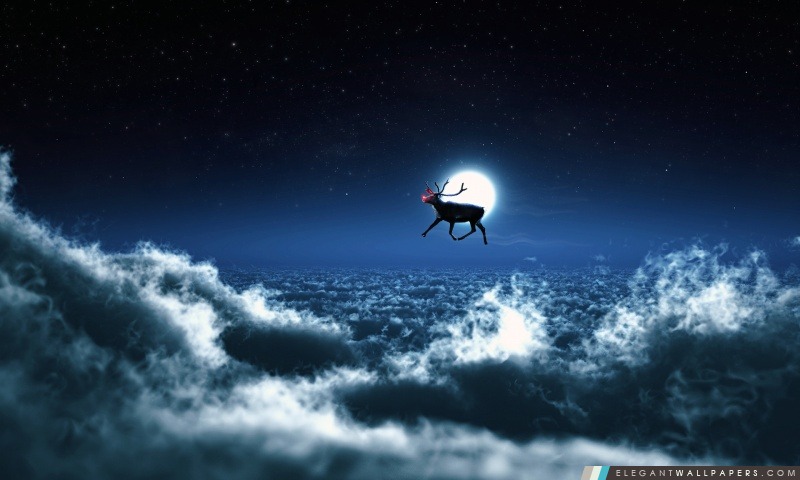 Rudolph vole en solo, Arrière-plans HD à télécharger