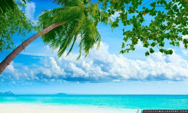 Tropical Beach Resorts, Arrière-plans HD à télécharger