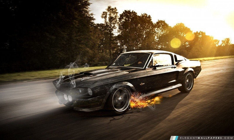 Mustang GT Fastback, Arrière-plans HD à télécharger