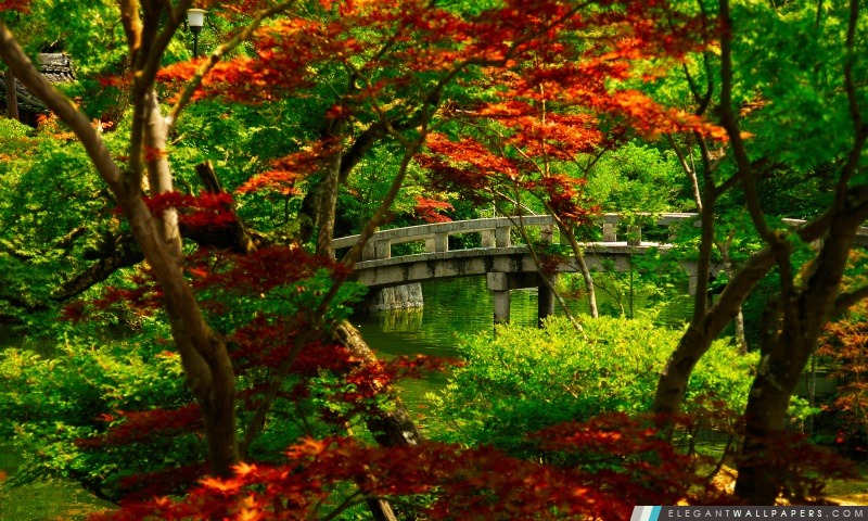 Jardin japonais (Kyoto), Arrière-plans HD à télécharger