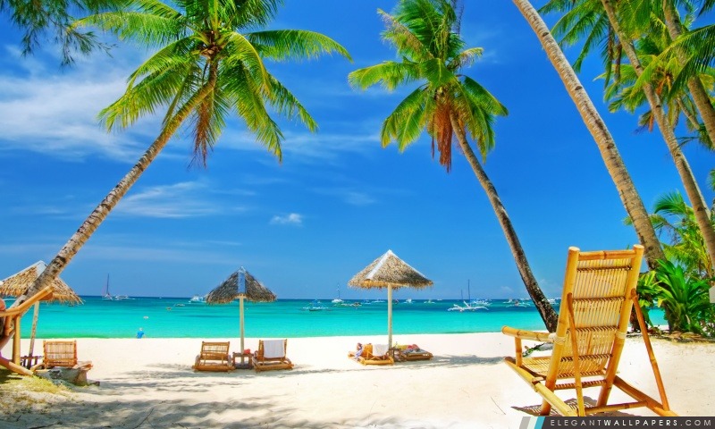 Tropical Paradise Beach, Arrière-plans HD à télécharger
