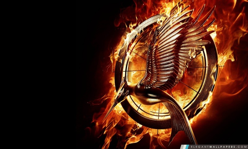 The Hunger Games Catching Fire Film, Arrière-plans HD à télécharger
