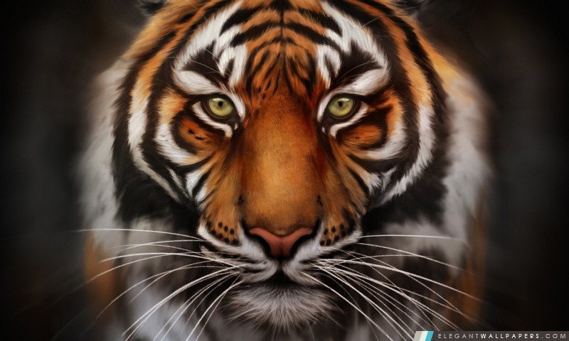 Save The Tiger, Arrière-plans HD à télécharger