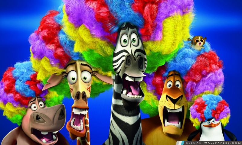 Most Wanted Cirque Afro de Madagascar 3 en Europe, Arrière-plans HD à télécharger