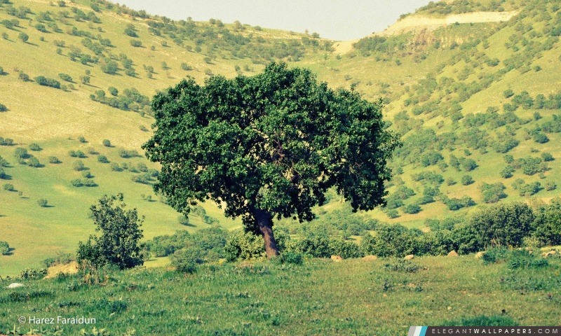 Kurdistan-Nature, Arrière-plans HD à télécharger