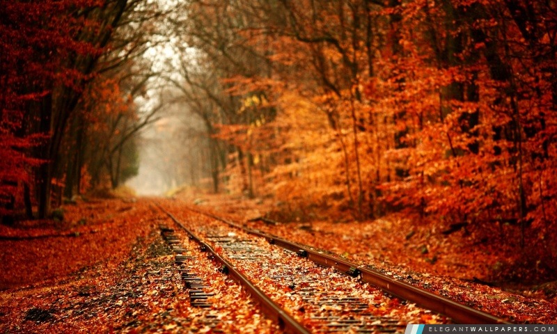 Chemin de fer automne, Arrière-plans HD à télécharger
