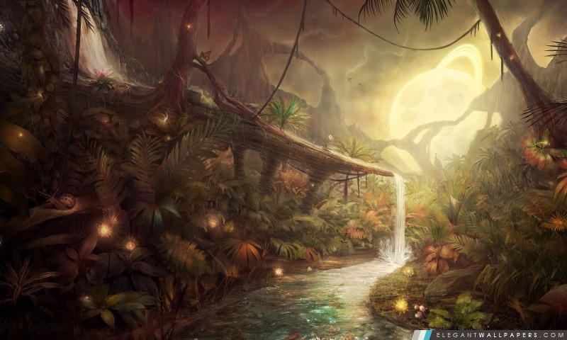 Jungle fantastique, Arrière-plans HD à télécharger