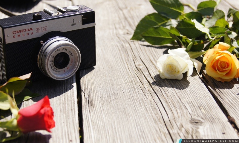Vieil appareil-photo et des roses, Arrière-plans HD à télécharger