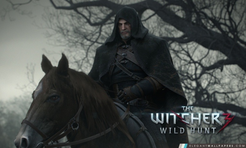 The Witcher 3 Chasse sauvage, Arrière-plans HD à télécharger