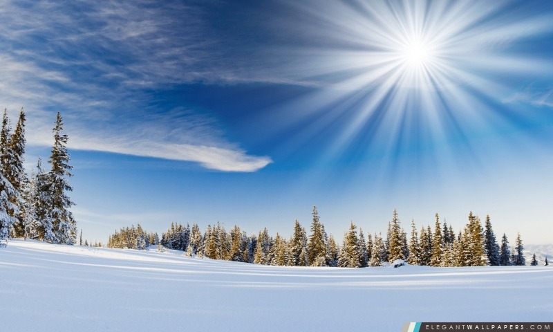 La lumière du soleil d'hiver, Arrière-plans HD à télécharger