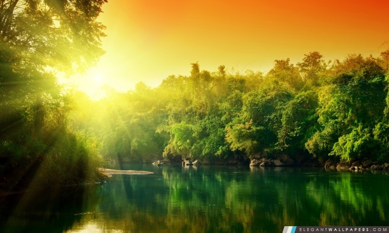Lush Green Forest rivière au lever de soleil, Arrière-plans HD à télécharger