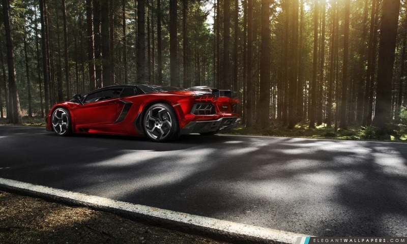 Lamborghini Aventador Mansory Forêt, Arrière-plans HD à télécharger