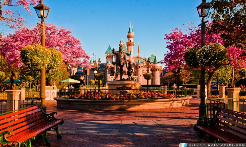 Disneylands Hub, Arrière-plans HD à télécharger