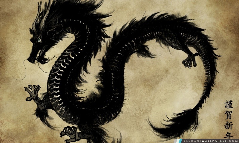 Black Dragon chinois, Arrière-plans HD à télécharger