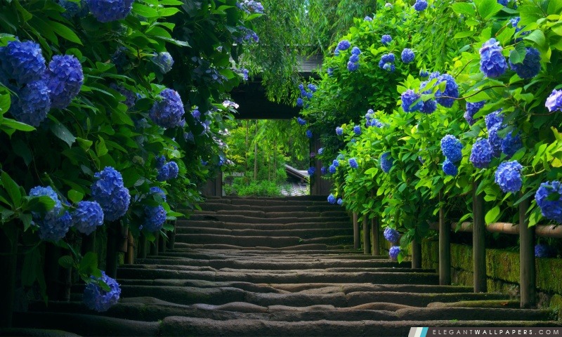 Jardin japonais – Escaliers, Arrière-plans HD à télécharger
