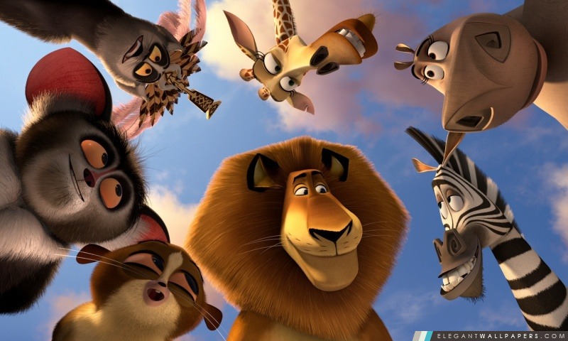 Madagascar 3 Animaux, Arrière-plans HD à télécharger