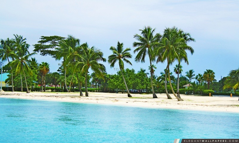 Bahamas Beach, Arrière-plans HD à télécharger