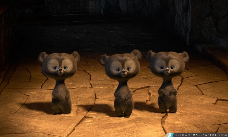 Brave triplet CUB d'ours, Arrière-plans HD à télécharger
