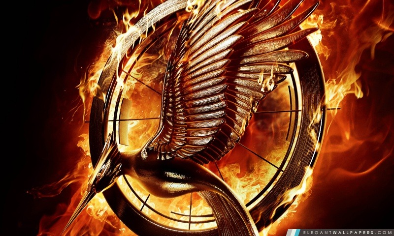 The Hunger Games Catching Fire 2013, Arrière-plans HD à télécharger