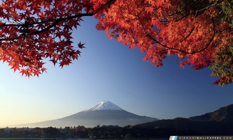 Automne, le mont Fuji, Japon, Arrière-plans HD à télécharger