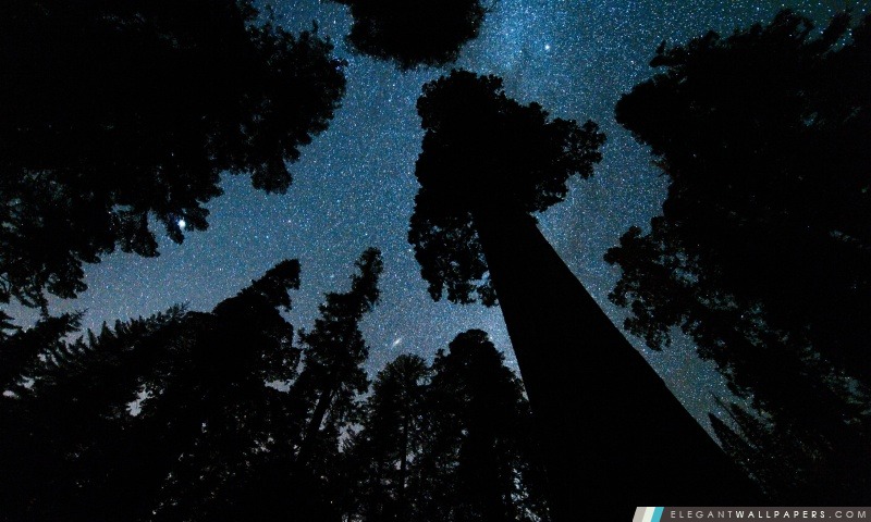 Andromède et la Voie Lactée Above The Oregon, Arrière-plans HD à télécharger