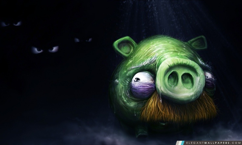 Cochon Angry Birds seul, Arrière-plans HD à télécharger