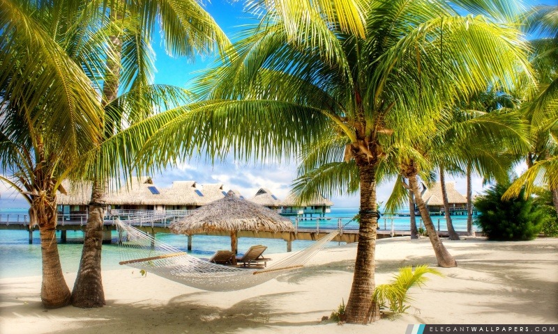 Tropical Beach Resort, Arrière-plans HD à télécharger