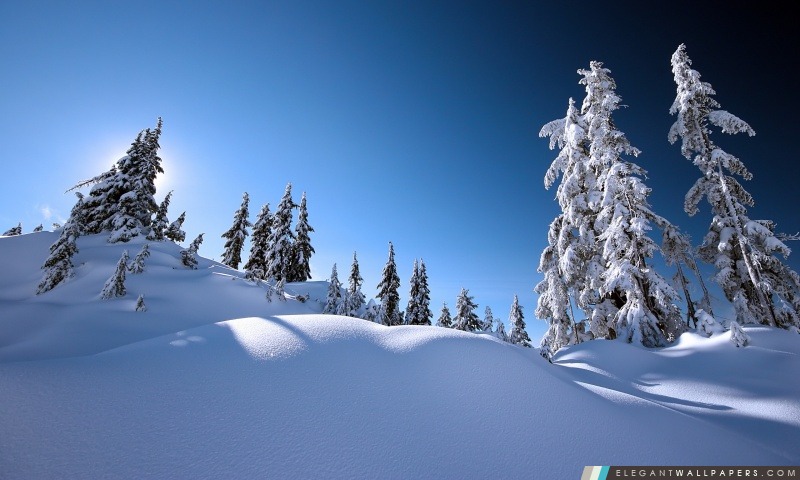 Belle paysage d'hiver, Arrière-plans HD à télécharger