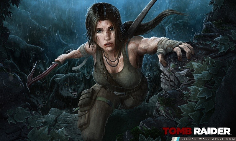 Tomb Raider 2013 Loups, Arrière-plans HD à télécharger