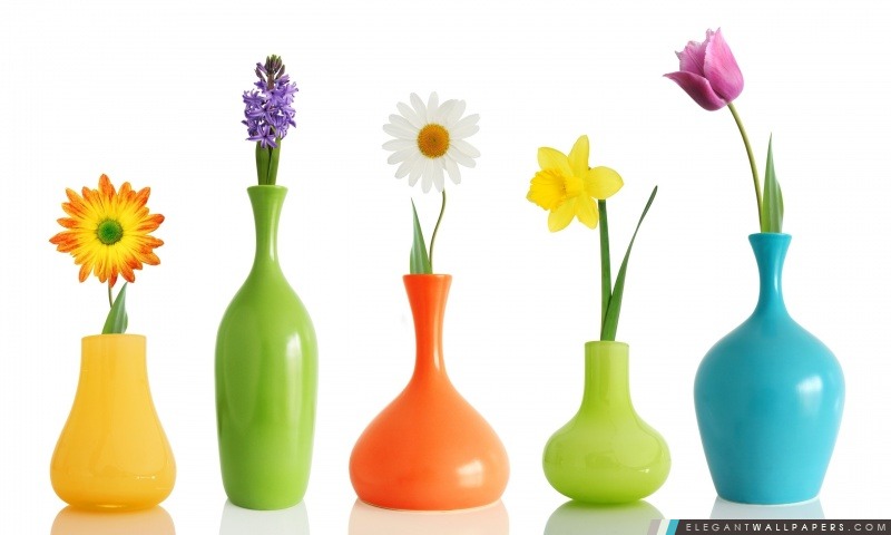 Colorul Vases à fleurs, Arrière-plans HD à télécharger