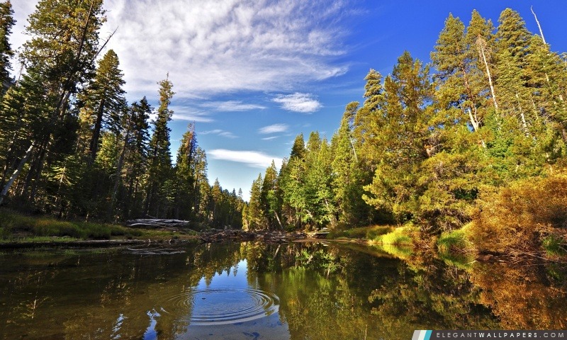 La rivière Merced, Yosemite, Arrière-plans HD à télécharger