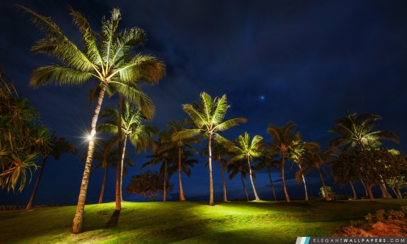 Oahu Paysage, Arrière-plans HD à télécharger