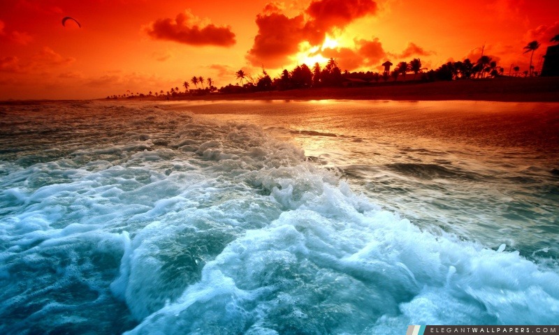 Tropical Sunset Beach, Arrière-plans HD à télécharger